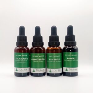 Kit Circulación Saludable