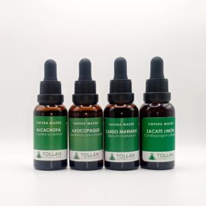 Kit Detox Digestivo con 4 Plantas